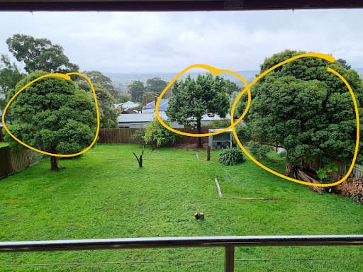 I Cut Tree Services — Customer photo