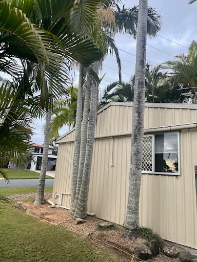 Tree Lopping Gold Coast — Customer photo