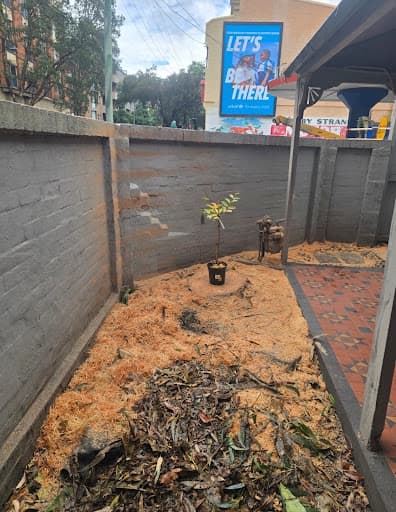 The Yard - Tree Services — Customer photo