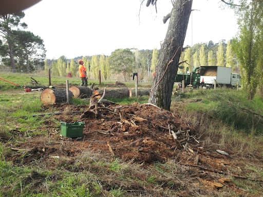 Adelaide Hills Tree & Stump Removal Pty Ltd — Customer photo