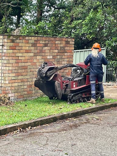 Primal Urge Stump Grinding — Customer photo