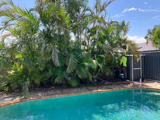 Mick Brewer Tree Services — Customer photo