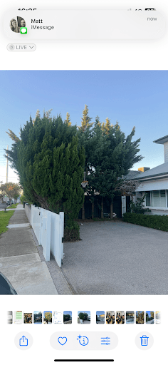 The Yard - Tree Services — Customer photo