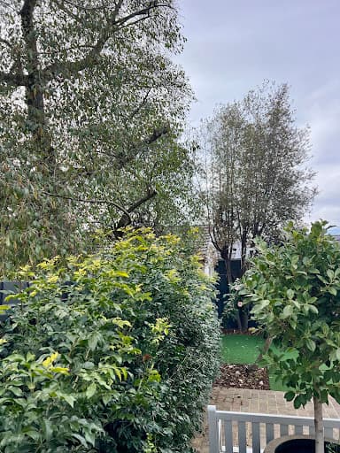 Balwyn Tree Service — Customer photo