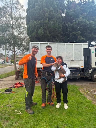 Proper Tree Care — Customer photo