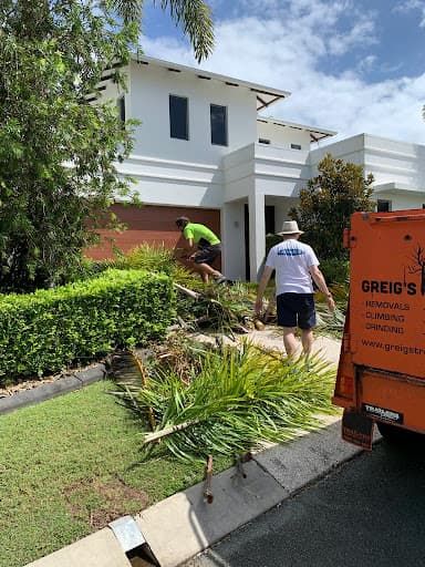 Greig's Trees — Customer photo
