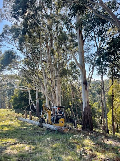 Habitat Arboriculture — Customer photo