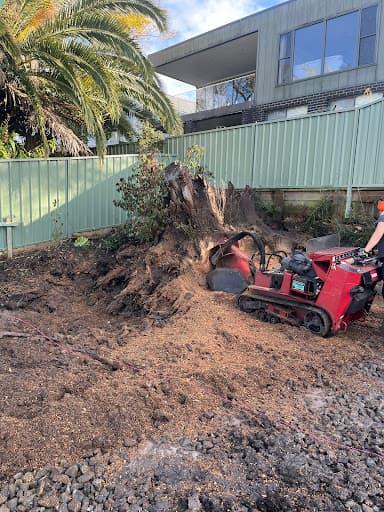Primal Urge Stump Grinding — Customer photo