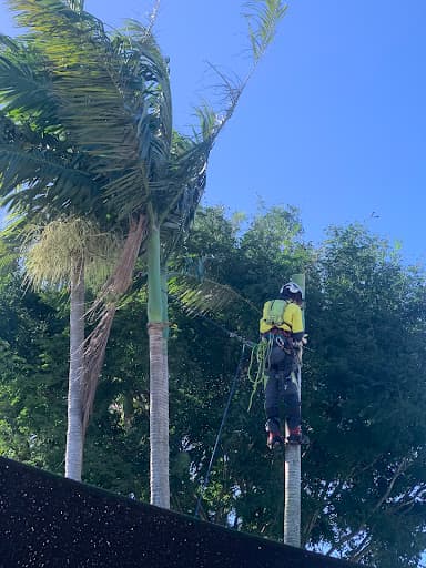 Mick Brewer Tree Services — Customer photo
