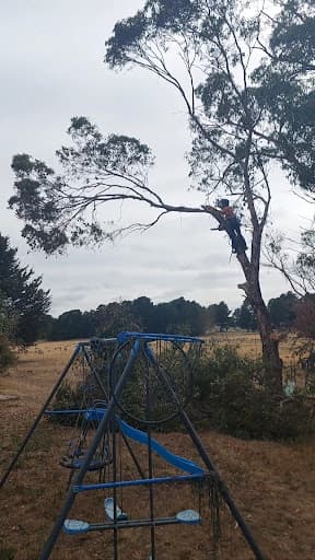 Goldfields Environmental — Customer photo
