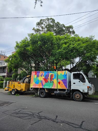 Balanced Tree Care — Customer photo