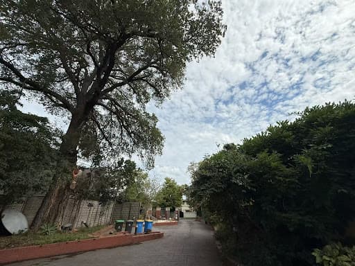 Rocky's Tree Removal — Customer photo
