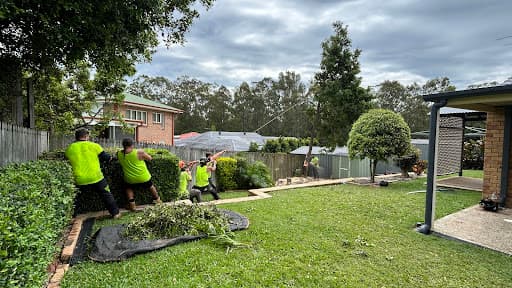 Ecological Tree Services — Customer photo