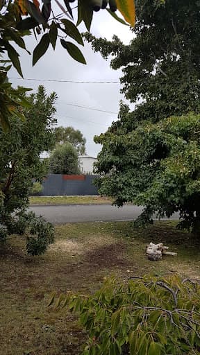 Horizon Tree Service — Customer photo