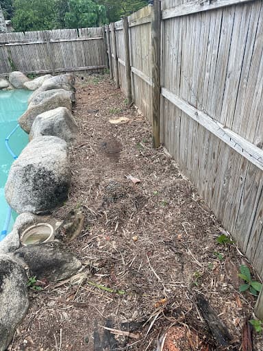 Branching Out Tree Specialists — Customer photo