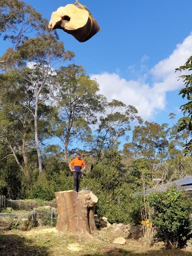 Tip Top Tree Services — Customer photo