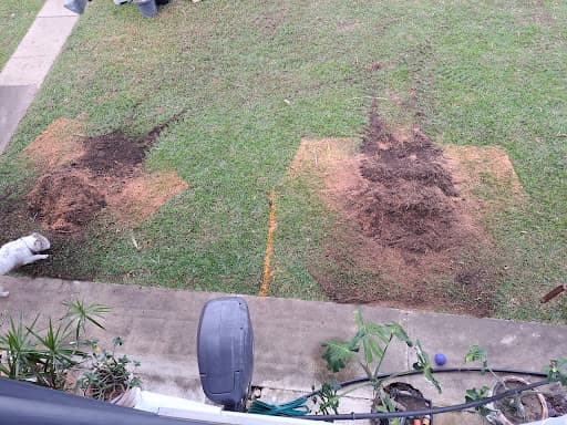 Gibsons Stump Grinding — Customer photo