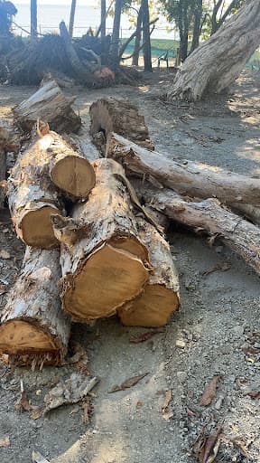 Advanced Vegetation Management — Customer photo