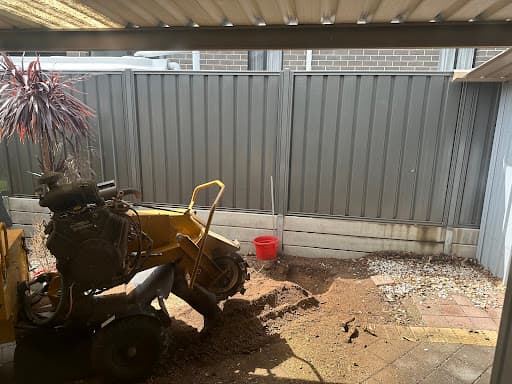 Aussie Tree Solutions — Customer photo