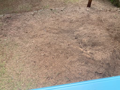 Tip Top Trees and Gardens — Customer photo