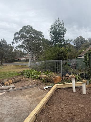 Liro Tree Services — Customer photo