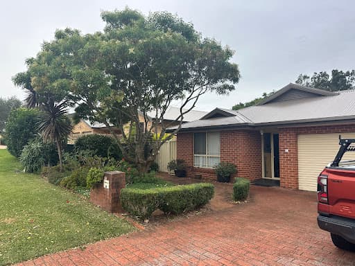 Illawarra Arborist - Tree Services — Customer photo