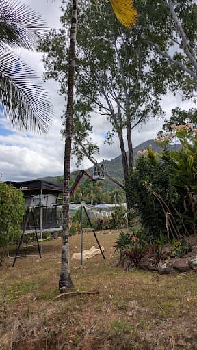 Bumble Bee Tree Services — Customer photo