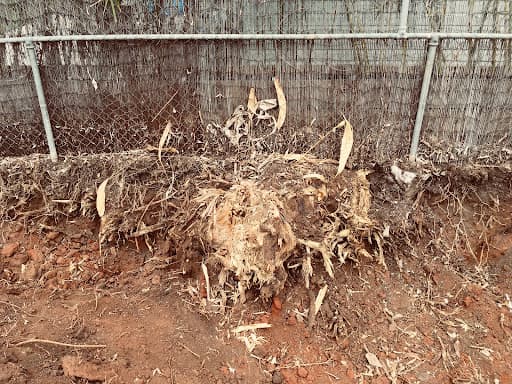 All Access Stump-Grinding — Customer photo