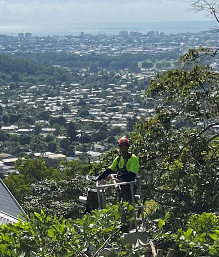 Advanced Vegetation Management — Customer photo