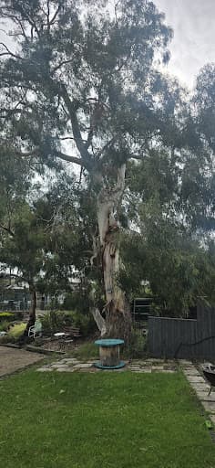 Future Tree Health — Customer photo