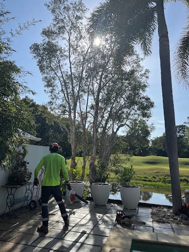 Branch Manager Tree Services — Customer photo