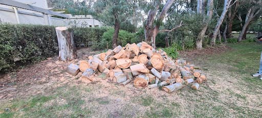 A1 Tree Solutions — Customer photo