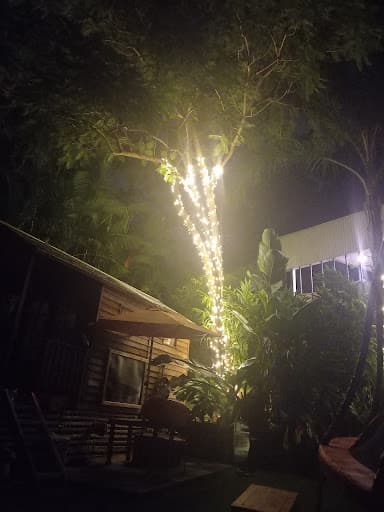 Bardon Trees — Customer photo