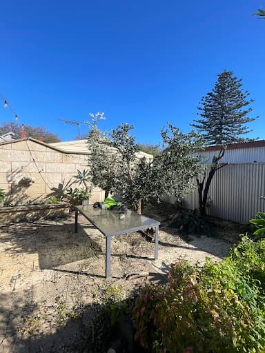 Saladin Tree Solutions — Customer photo