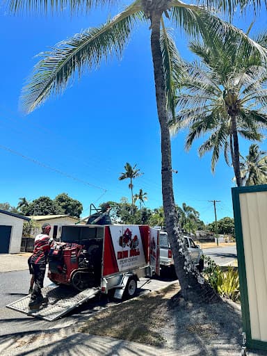 Iron Bull Stump Grinding — Customer photo