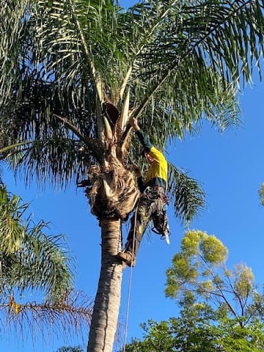 Heritage Tree Care — Customer photo