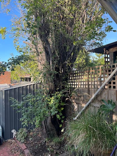 Proleaf Pty Ltd — Customer photo
