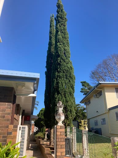 River City Trees — Customer photo