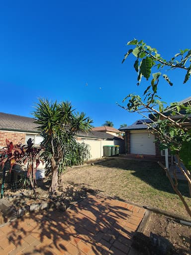 Illawarra Arborist - Tree Services — Customer photo
