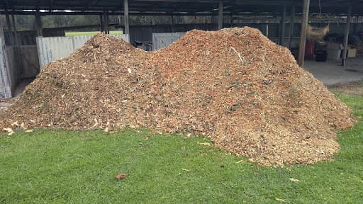 Treesmith Newcastle — Customer photo