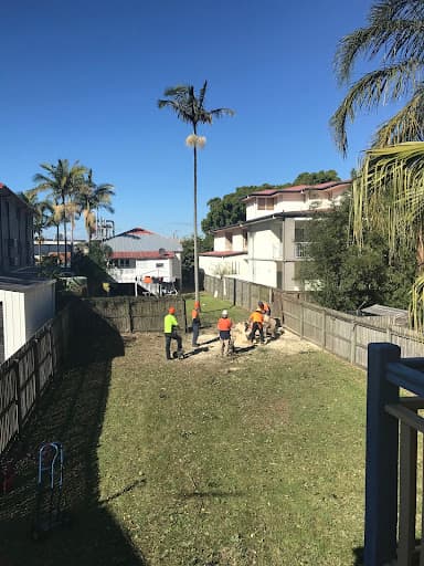 GDE Tree Services — Customer photo