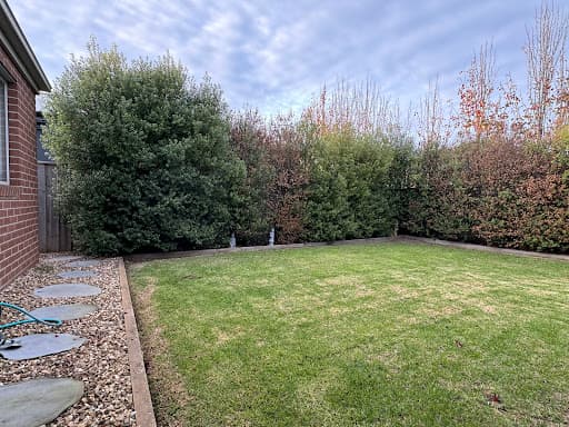 Hedge Works Geelong — Customer photo