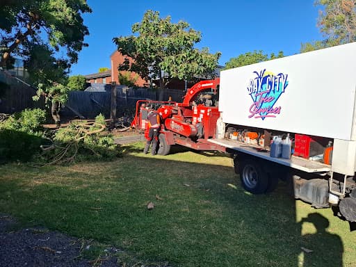 Bay City Tree Services — Customer photo