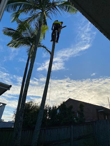 Heritage Tree Care — Customer photo
