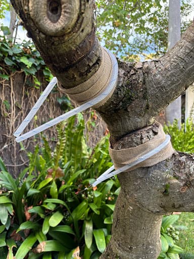 Branch Out Tree Specialists — Customer photo