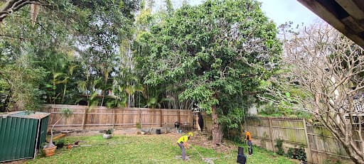 Ecological Tree Services — Customer photo