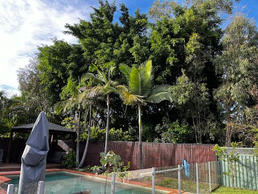 JC Tree Services — Customer photo