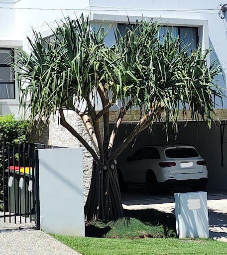 Ecological Tree Services — Customer photo