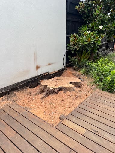 Richmond Tree Specialists — Customer photo
