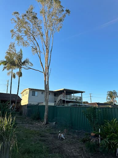 GDE Tree Services — Customer photo